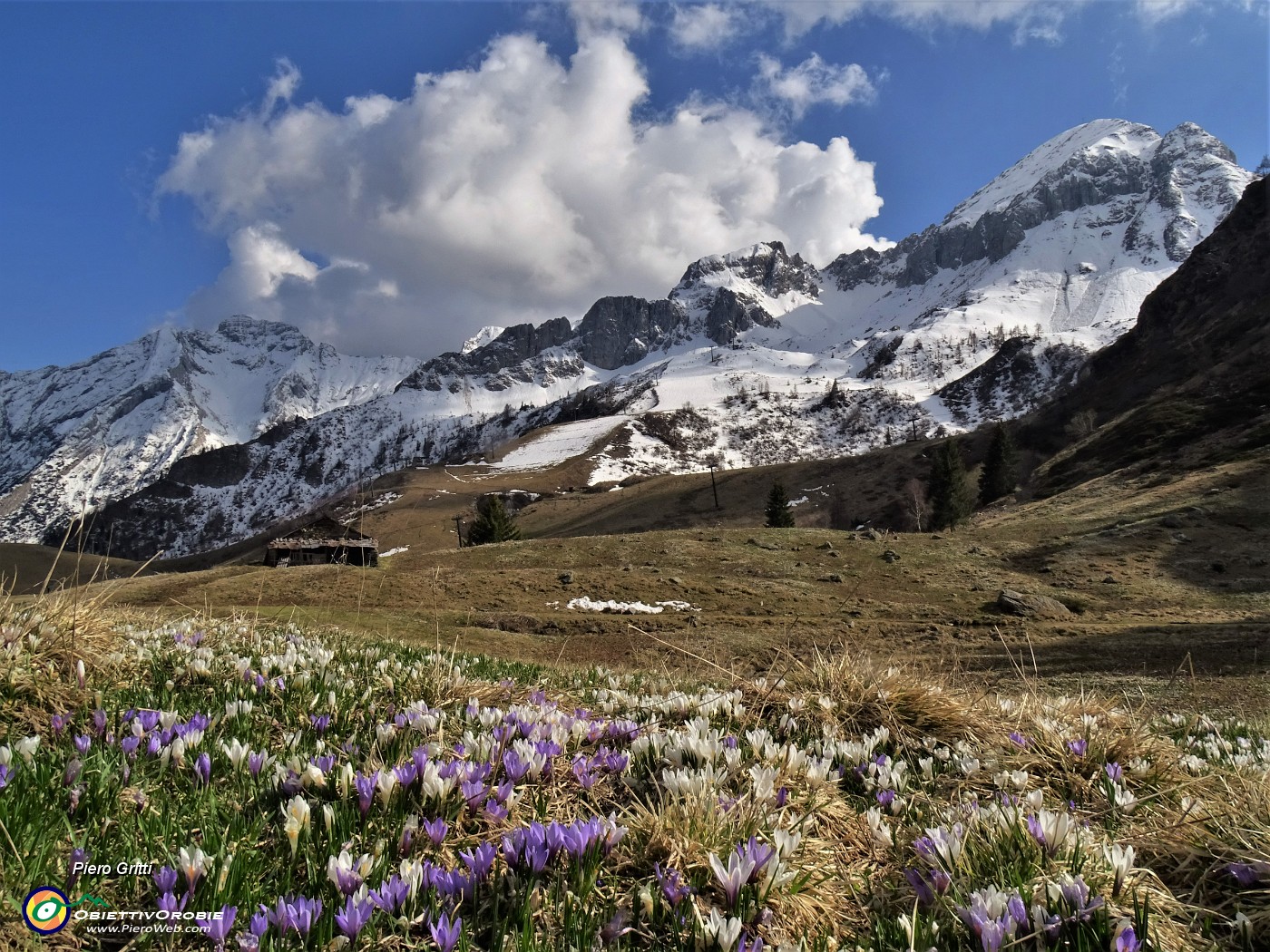 72 Il bianco delle nuvole, della neve , dei crocus bianchi e violetti...JPG